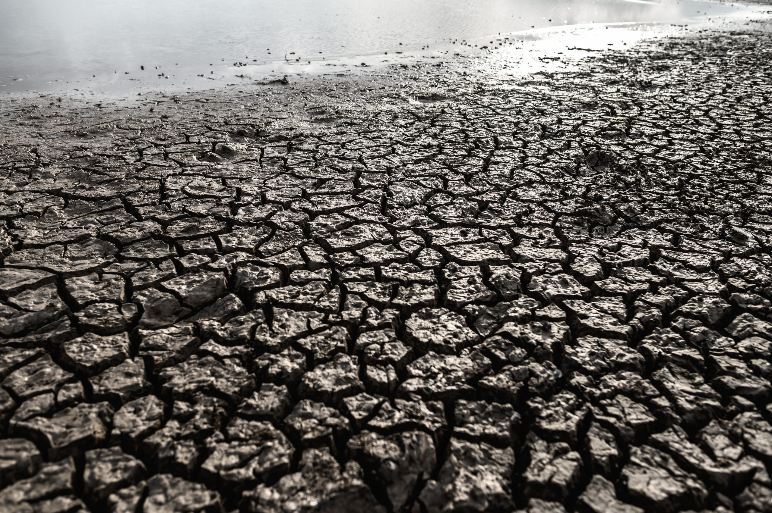arid land with dry cracked ground global warming scaled