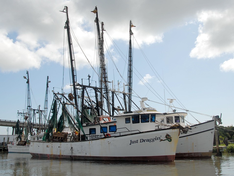 commercial fishing 1659253 960 720