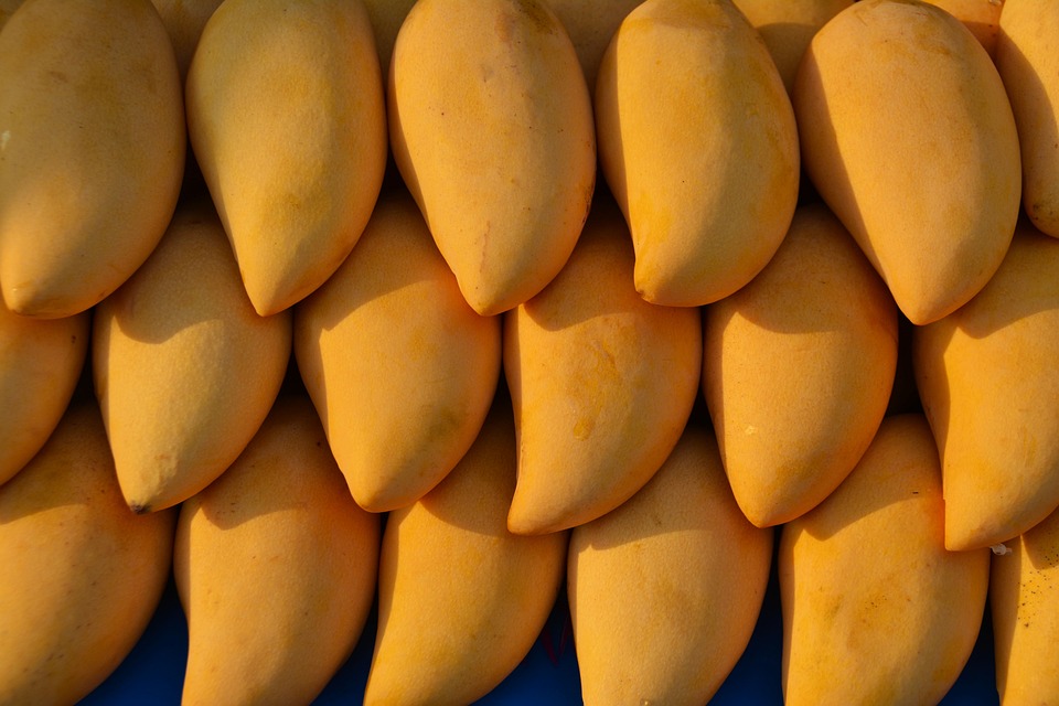 mangoes 1320111 960 720