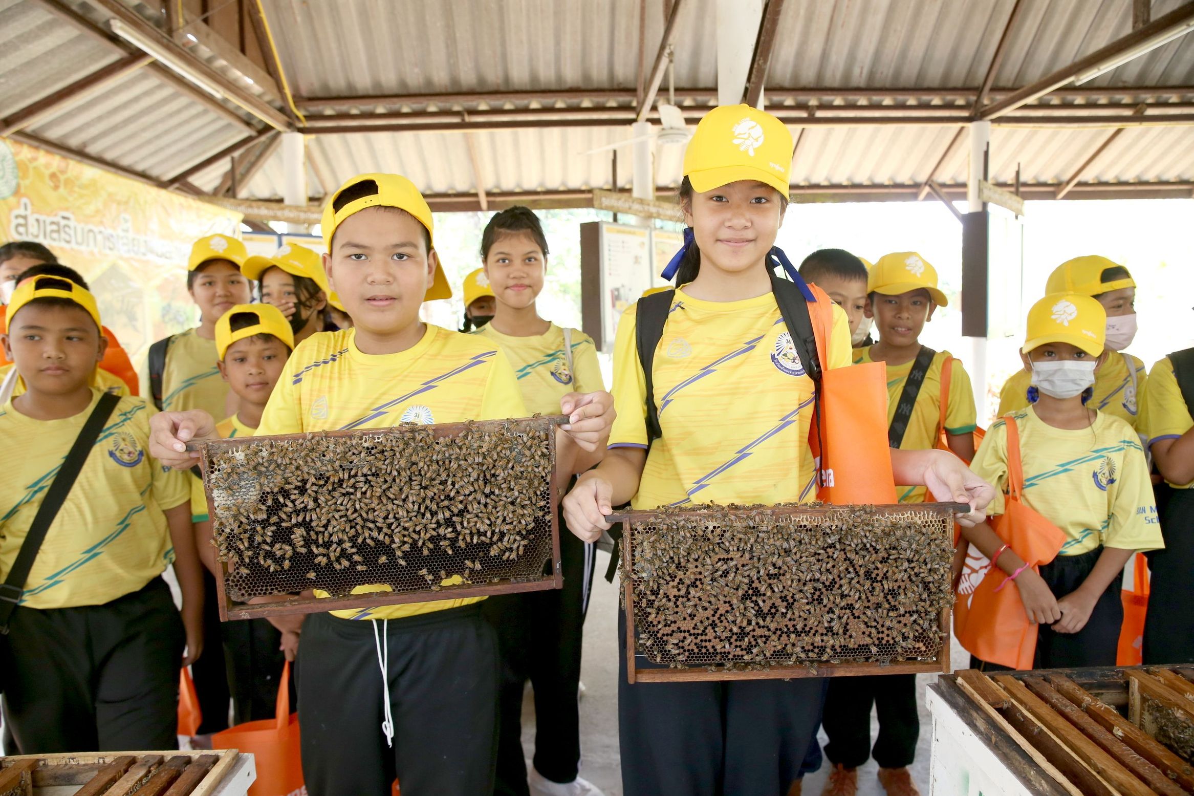 กิจกรรมการเลี้ยงผึ้งและชันโรง