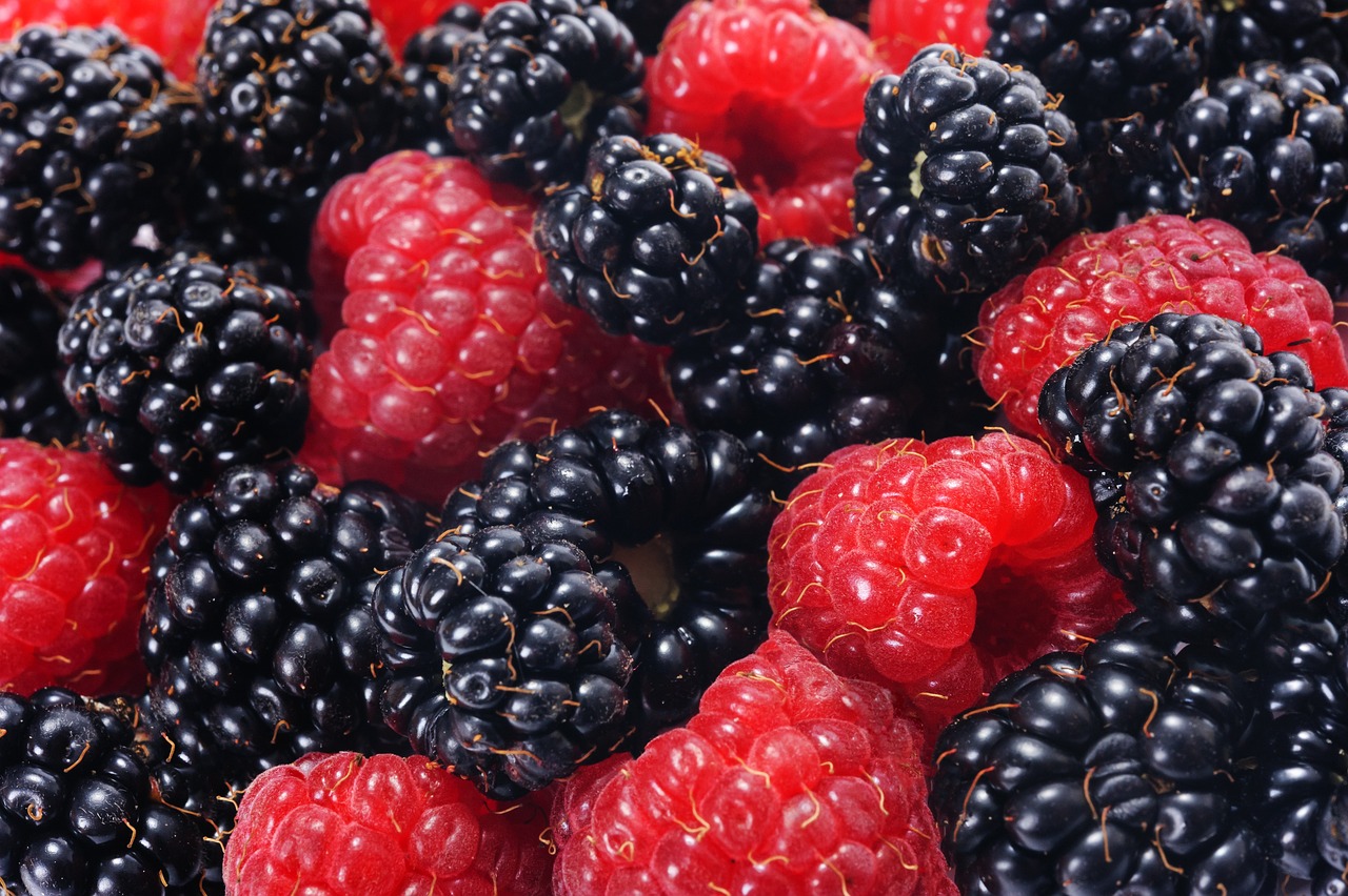 raspberries and blackberries 5001160 1280