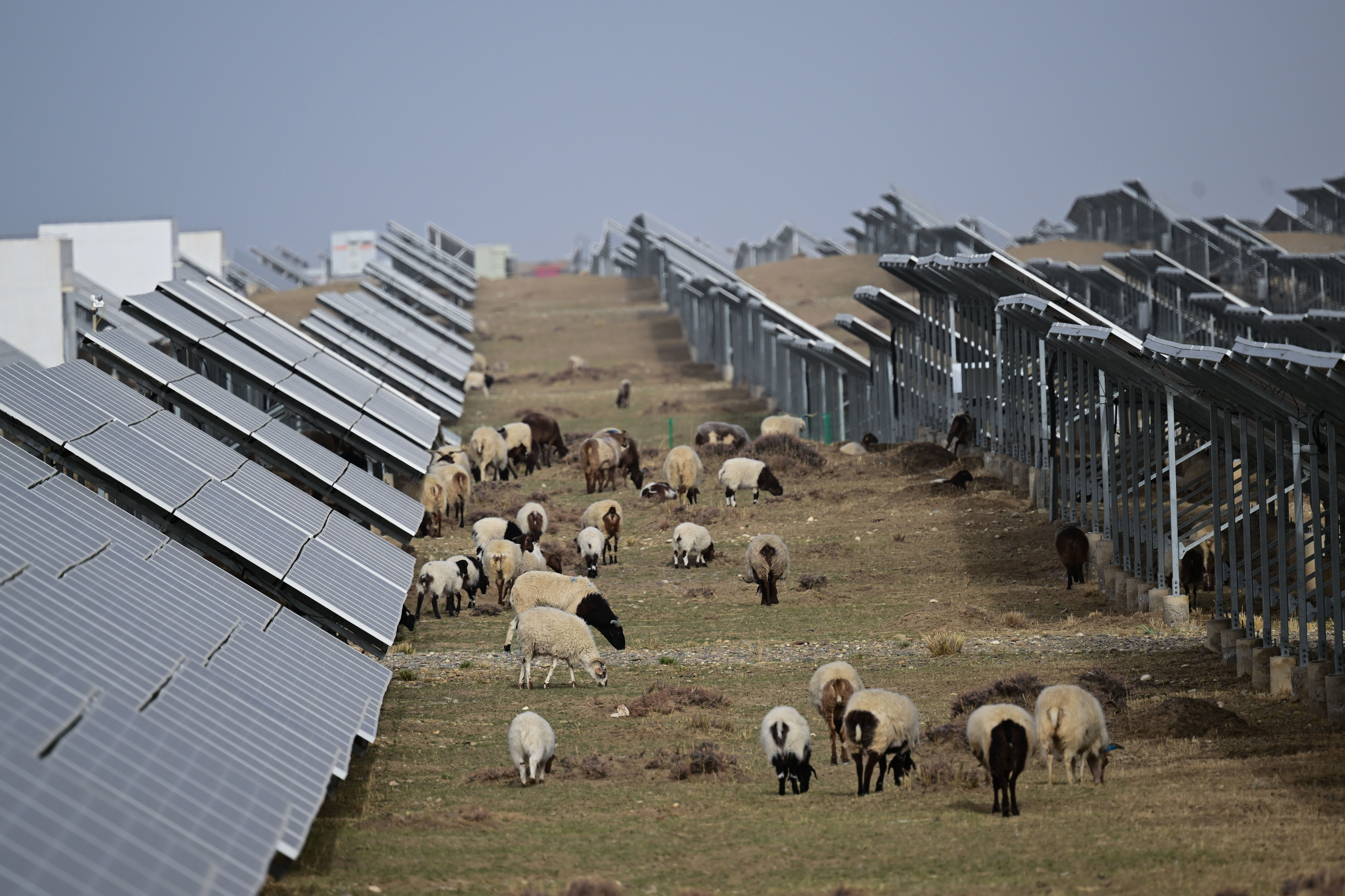 Xinhua Headlines Solar power farms on plateau fuel Chinas green energy revolution 4