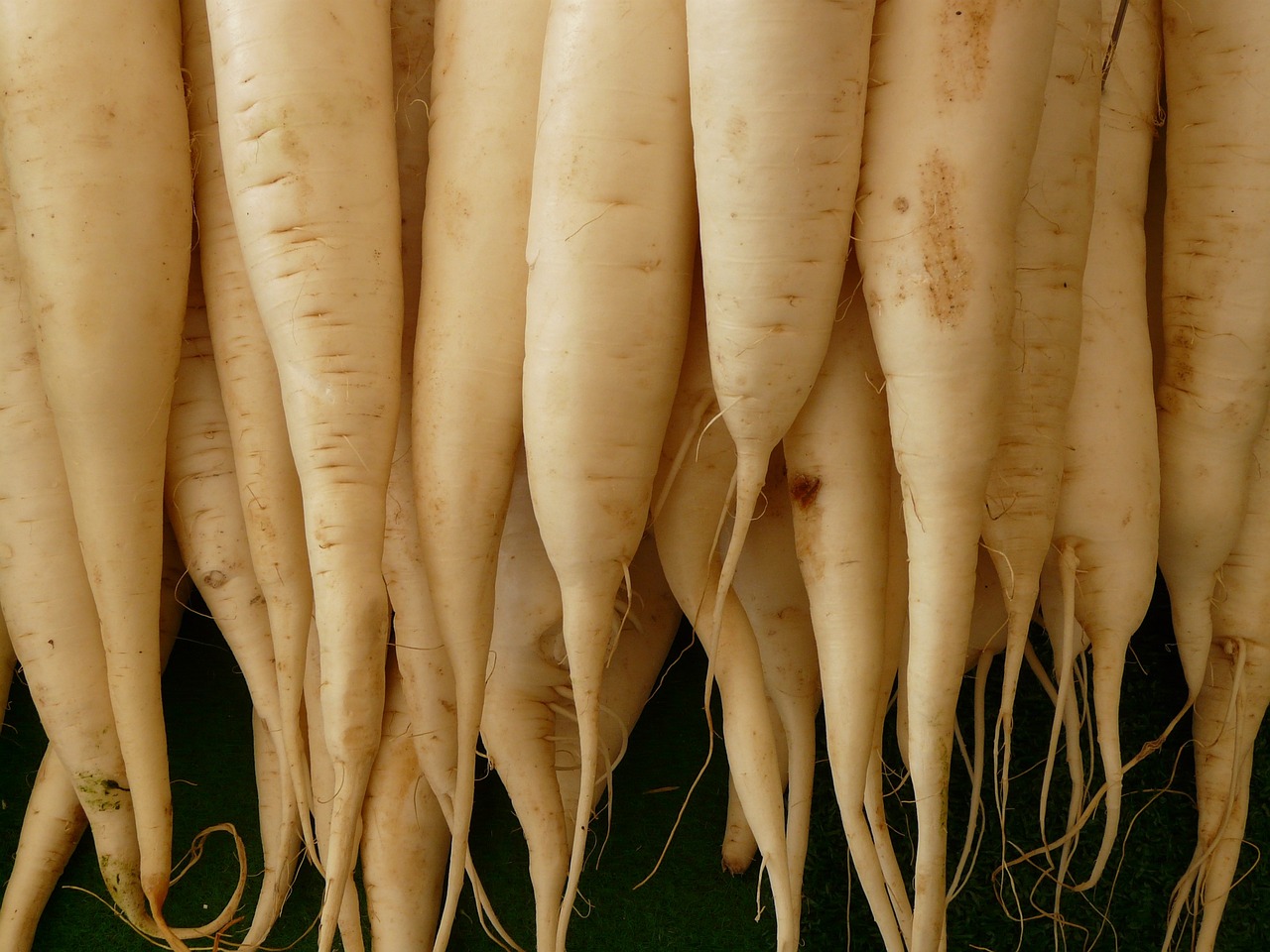 white radish 5756 1280