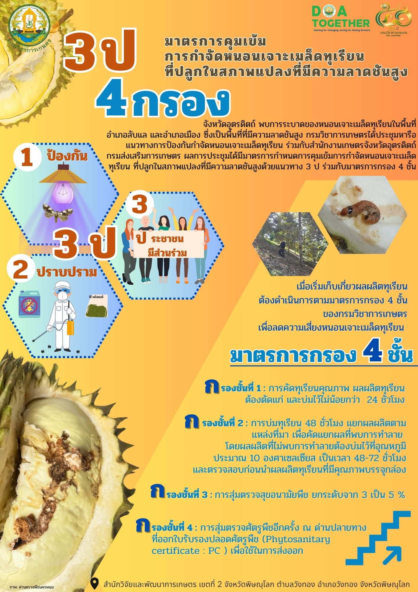 3 ป 4 กรอง