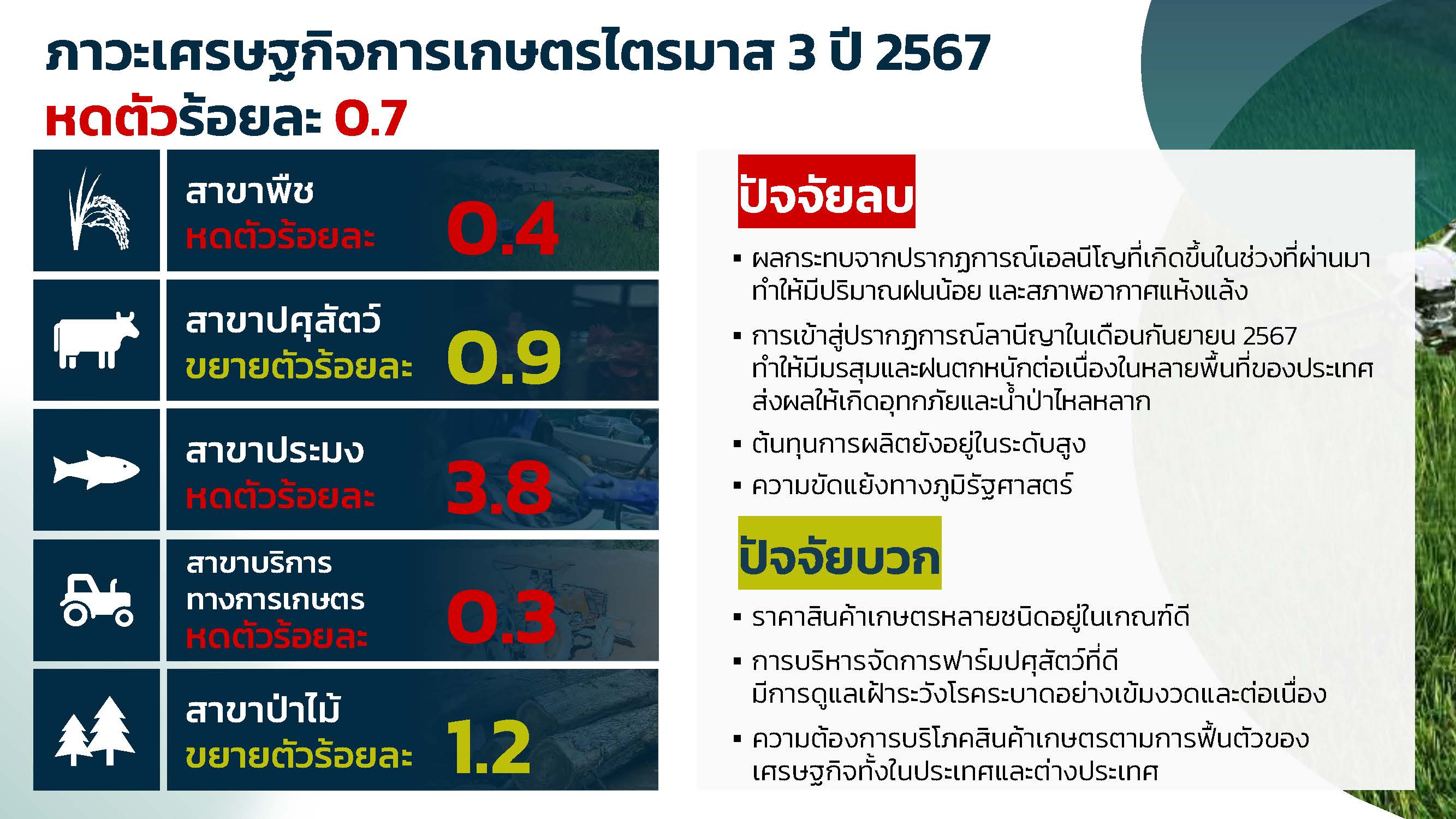 PPT ภาวะเศรษฐกิจการเกษตรไตรมาส 3 ปี 2567 ปรับ 21 Page