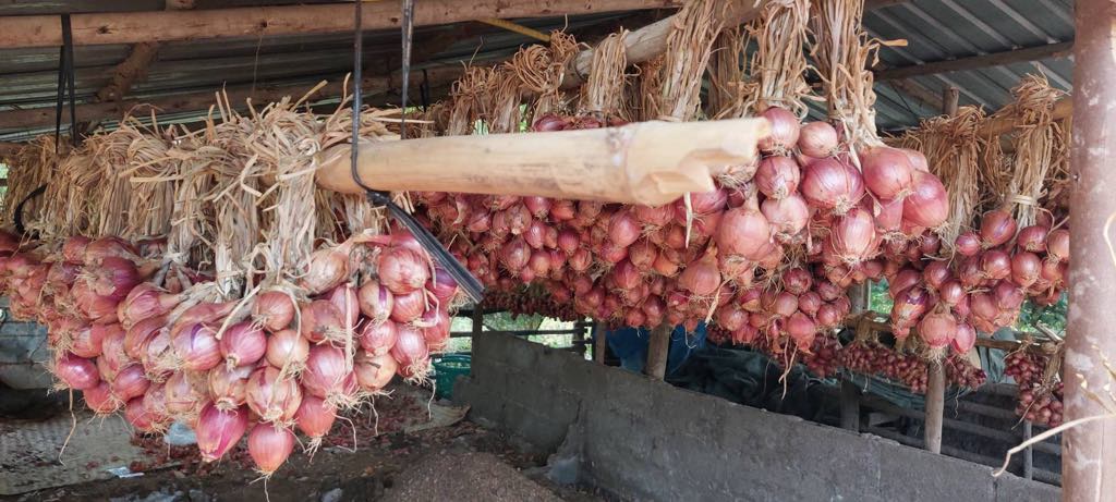 กลุ่มห้วยเดื่อ lll